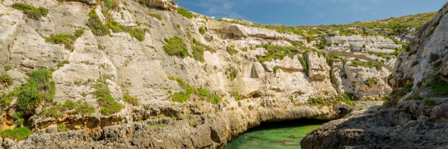 Malta Nature