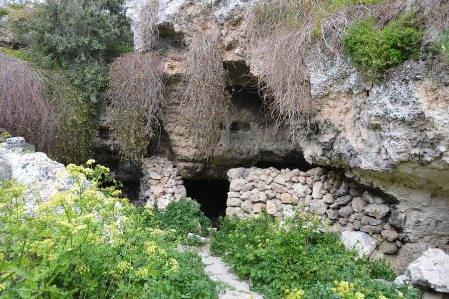 Nature on the Maltese island