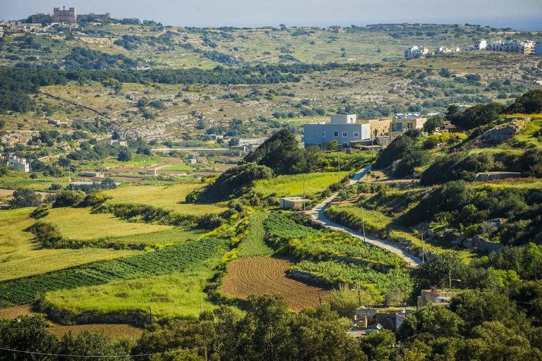 Rolling green countryside of Gozo, Malta, featuring patchwork farmland, dry stone walls, and a winding rural road, with the Gozo Citadel visible on the hilltop in the distance