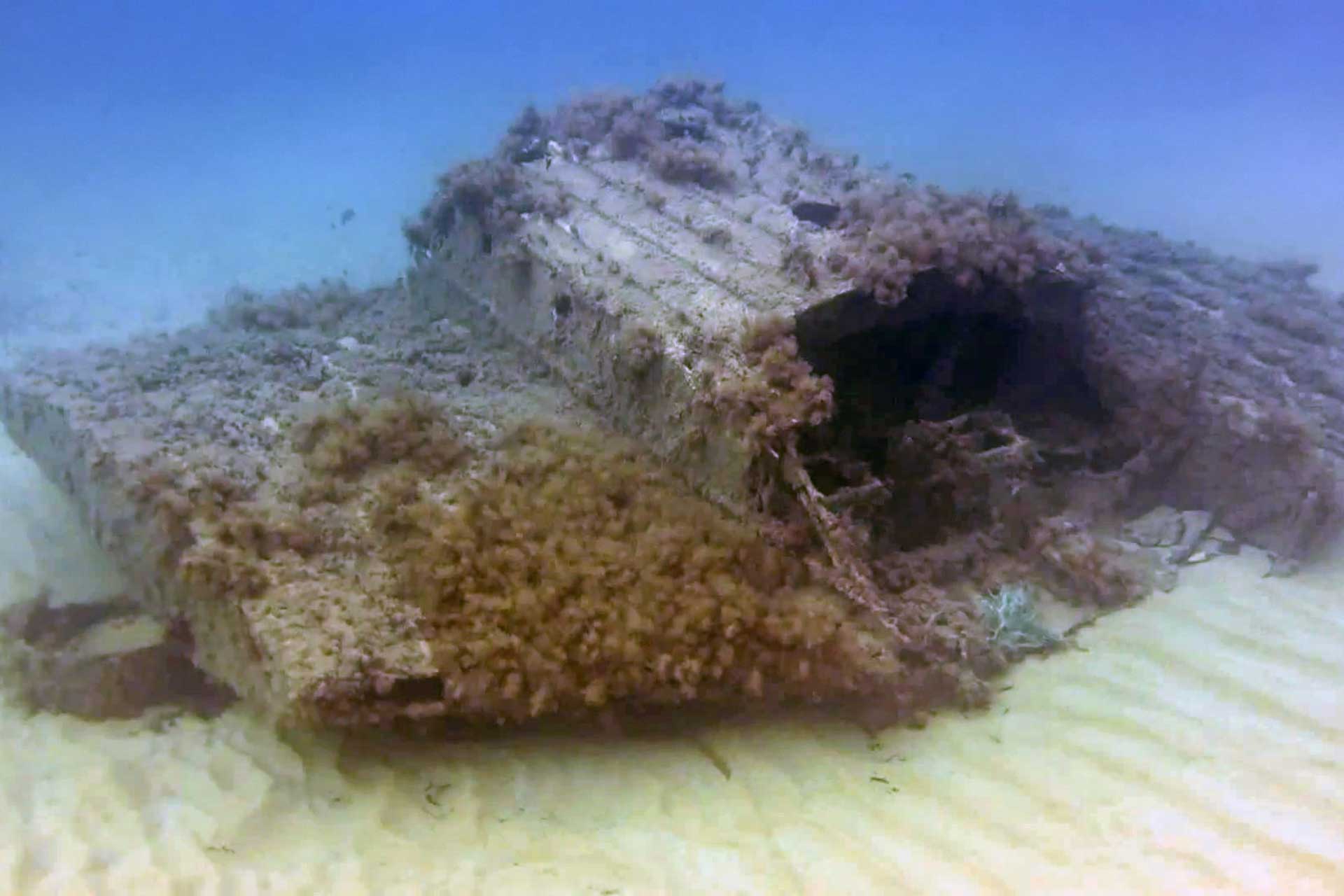 Dornier Wal XI underwater remains gnejna bay snorkeling