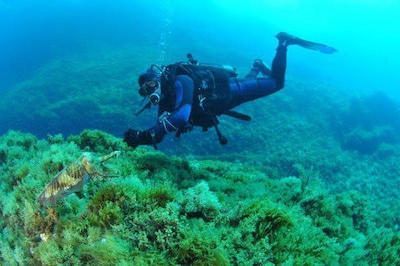 Dive Malta - Diving Schools