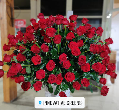 Innovative Greens Ltd - Florists