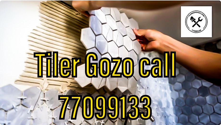PlumberGozo.com  (Gozo Only) - Tile Layers